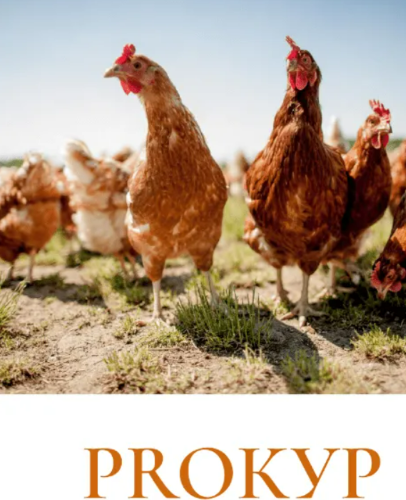 [Рыжий Фермер] Дарья Яковлева - Методичка по бройл_0.png